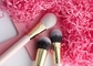 Vonira Brand New Basic 11 Pieces Makeup Brushes Collection Set de Brochas de Maquillaje chuyên nghiệp Màu vàng hồng khỏa thân