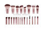 Champagne Private Label Makeup Brush 22 Pieces, cọ trang điểm tổng hợp