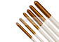 6 Cái Artist Paint Brush Set For Acrylic Water Oil Tranh Craft Nail Face